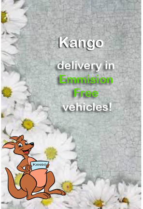 Kango Delivery 